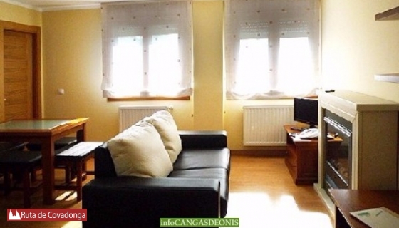 apartamentos donclemente cangas de onis (7)