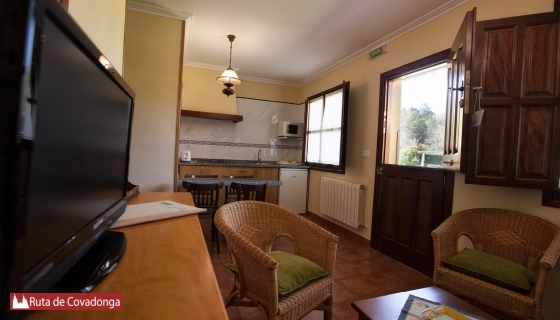 apartamentos camin de pelayo cangas de onis  (3)