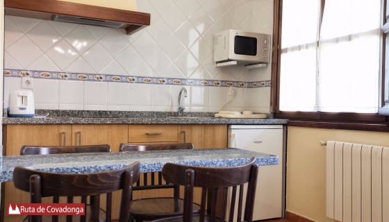 apartamentos camin de pelayo cangas de onis  (9)