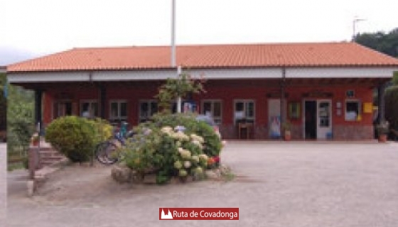 camping-en-cangas-de-onis-covadonga (3)