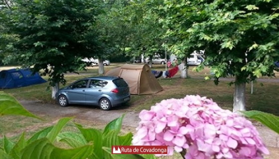 camping-en-cangas-de-onis-covadonga (7)